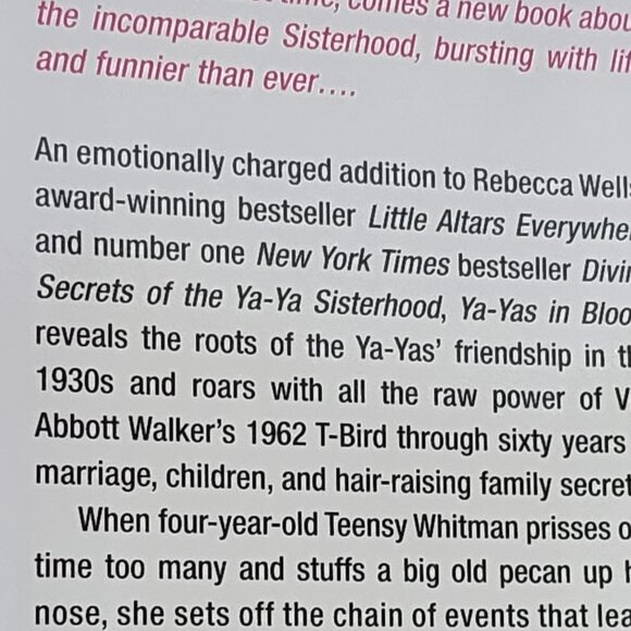 Ya-Ya's In Bloom by New York Times Best Selling Author Rebecca Wells Hardback - Picture 7 of 16